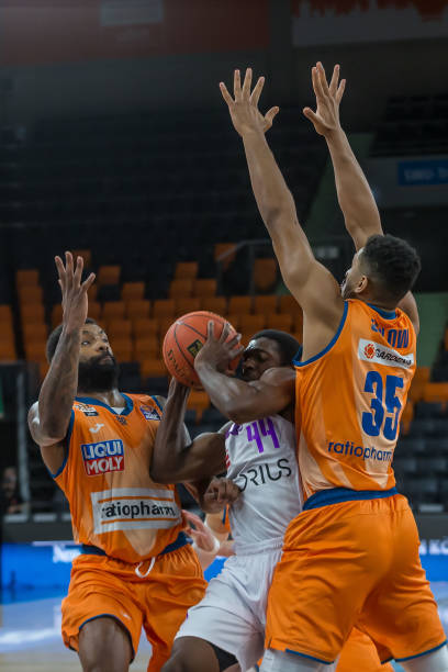 尔西引进恩 尔西引进恩