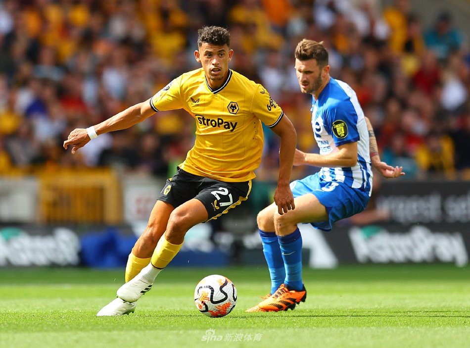 成功的国际 成功的国际